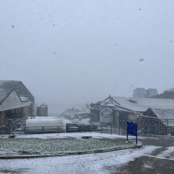 We saw some wintery weather at the start of Spring with snow in March